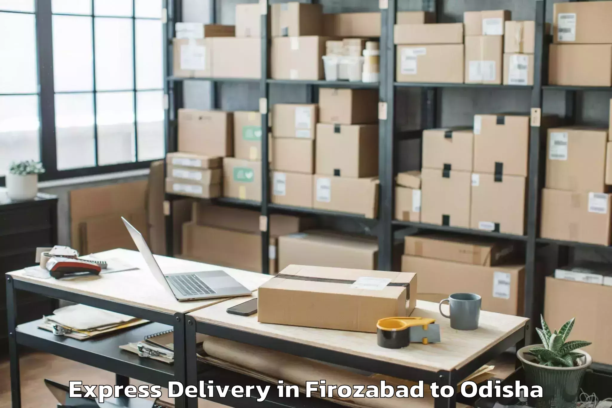 Professional Firozabad to Bansada Express Delivery